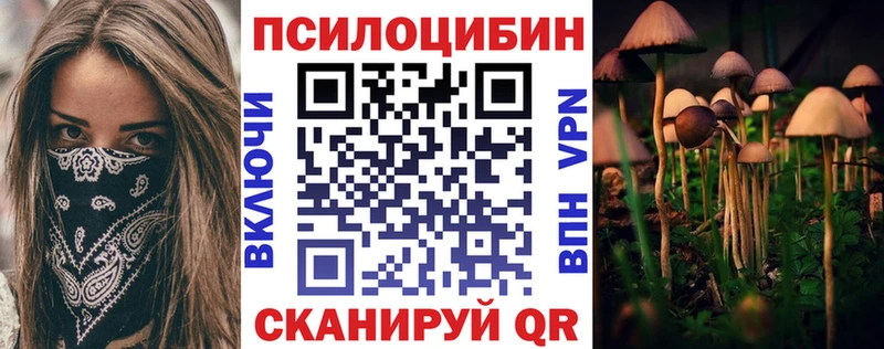 Купить  Луховицы  Псилоцибиновые грибы GOLDEN TEACHER 