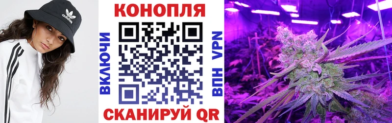 Конопля White Widow  Купить  Луховицы 